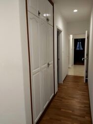 The Arcadia (D11), Condominium #532052561